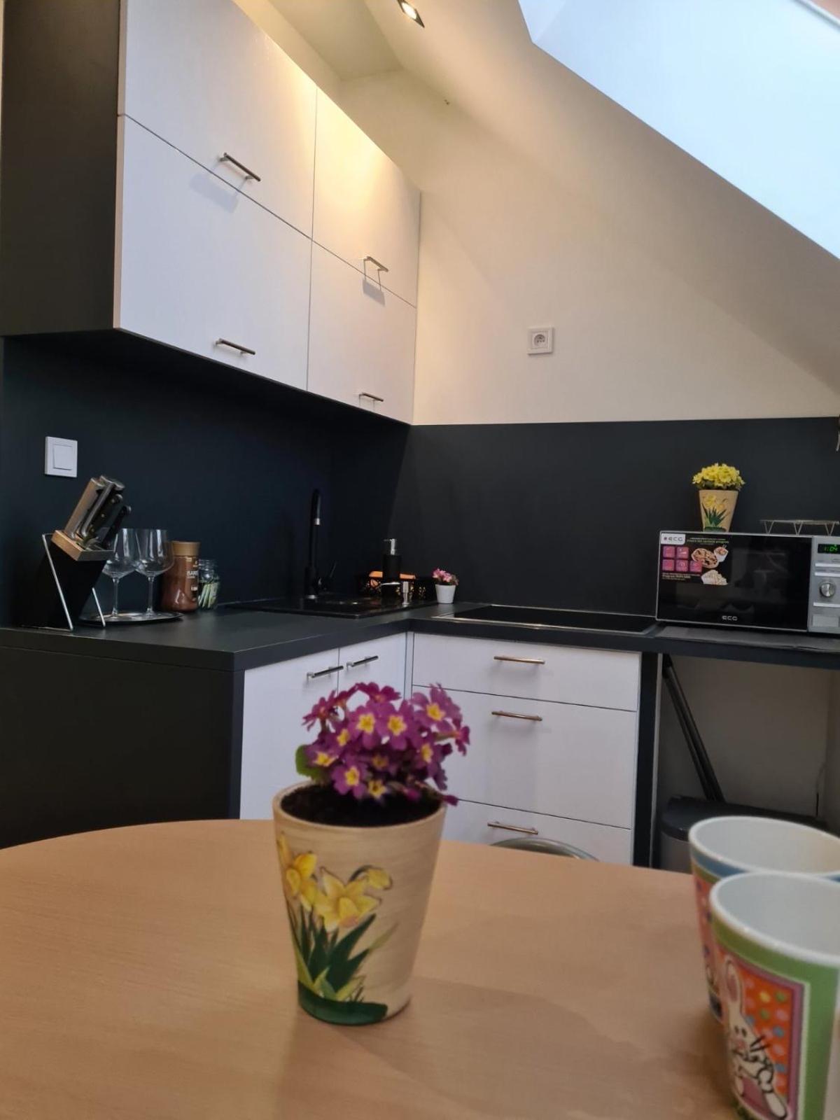 Apartment Zvonarska With Parking Košice Eksteriør bilde